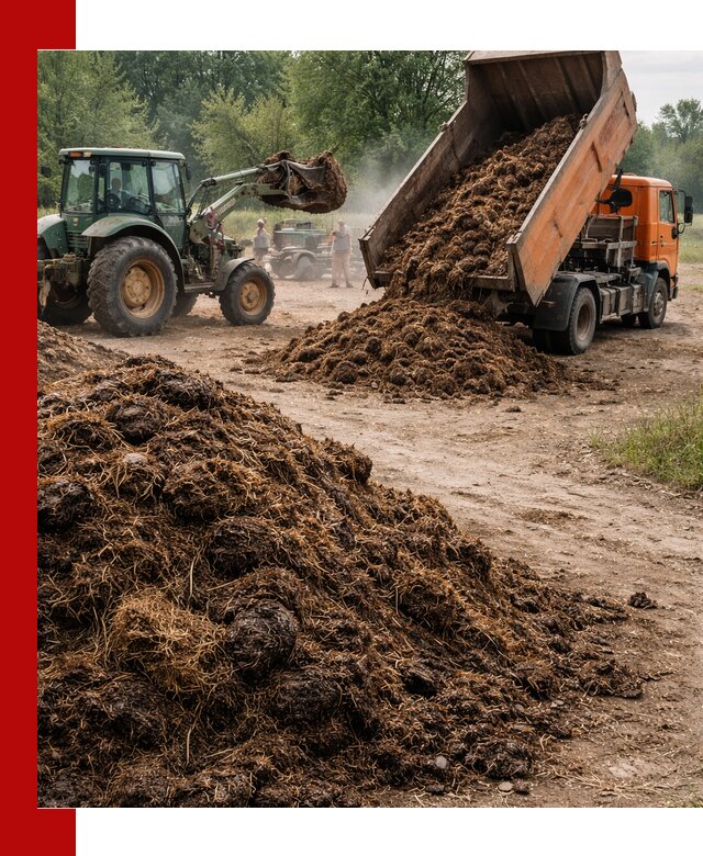 Доставка навоза самосвалами в Кимрах для сельхозпотребностей